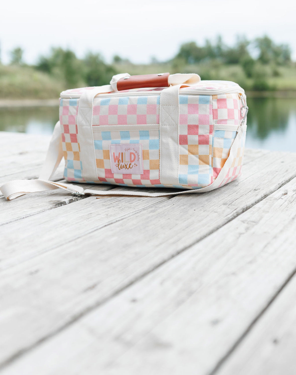 Soft Insulated Cooler in Rainbow